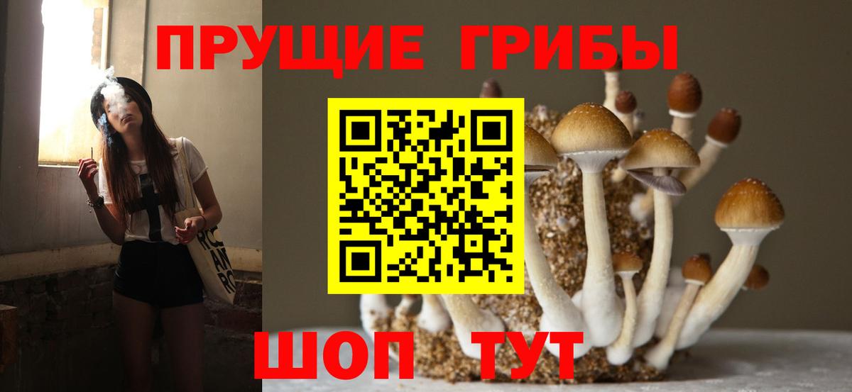Лянтор  Галлюциногенные грибы мицелий  Вход с VPN  Псилоцибиновые грибы GOLDEN TEACHER 